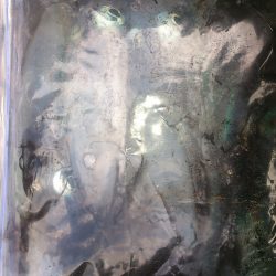 後半戦～お昼まで