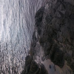 朝マズメ釣行 ！