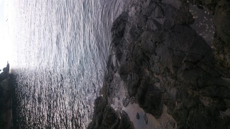 朝マズメ釣行 ！