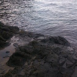 朝マズメ釣行 ！