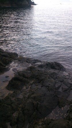 朝マズメ釣行 ！