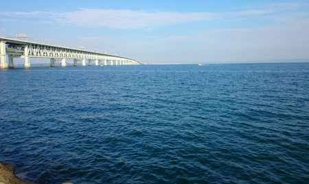 サワラ今日もゲットしました！！