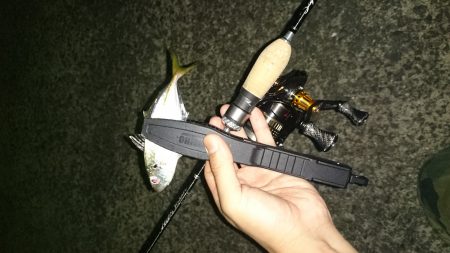 アジング釣行記