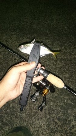 アジング釣行記