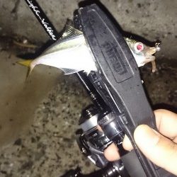 アジング釣行記