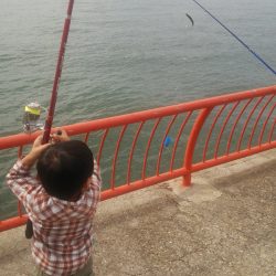 ファミリーで楽しみました♪