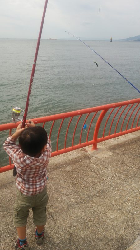 ファミリーで楽しみました♪