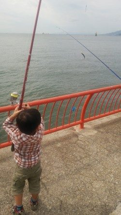 ファミリーで楽しみました♪