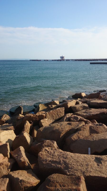 やっとキスが釣れた