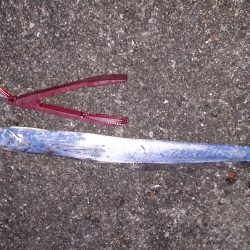 忠岡高場にて太刀魚