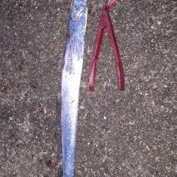 忠岡高場にて太刀魚