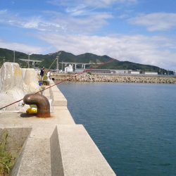 ＳＷ初日は浦港でキス狙い