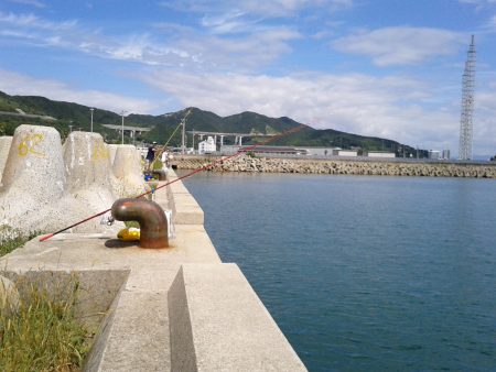 ＳＷ初日は浦港でキス狙い