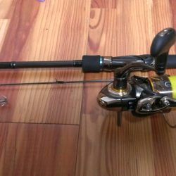 これぞ新子サイズ！！