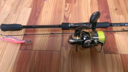 これぞ新子サイズ！！