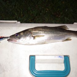 舞鶴ランガン（初日）