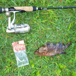 舞鶴～宮津ランガン（２日目）