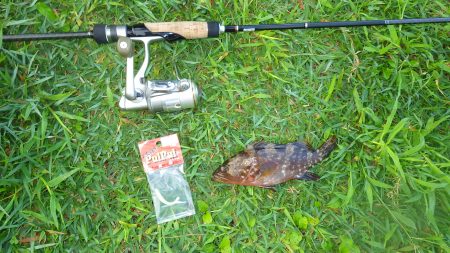 舞鶴～宮津ランガン（２日目）