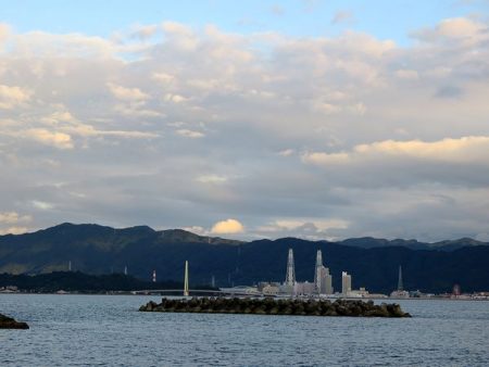 田ノ浦でカゴ釣り