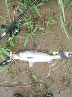 フックをチェンジして！