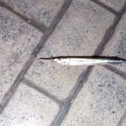 こんなはずでは…..