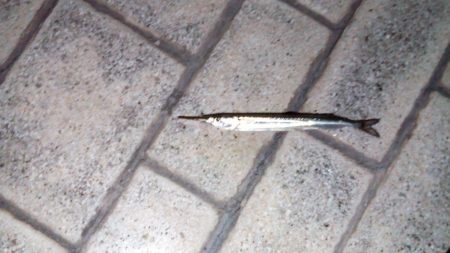 こんなはずでは…..