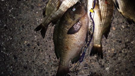 小さいが快釣！！