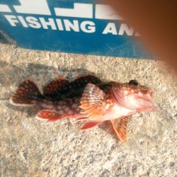 フロートアジング