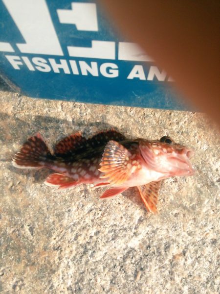 フロートアジング