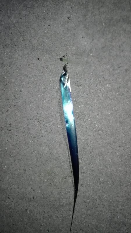 太刀魚ワインド