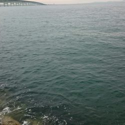 シオ、久々にゲット！