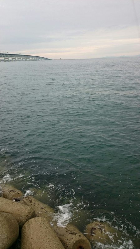 シオ、久々にゲット！