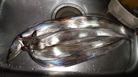 釣れるか!ドラゴン!!