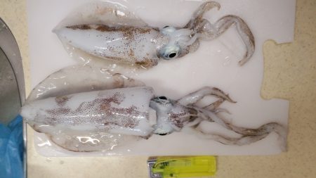 満月は明るすぎました、、、