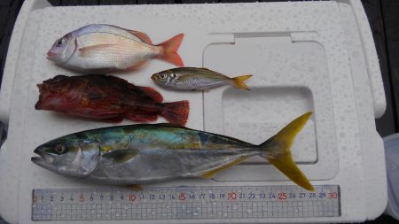 日本海どしゃ降り