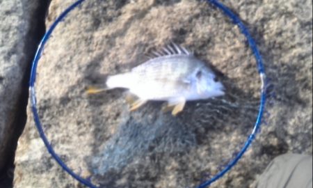 いい天気なのに！