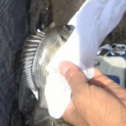 SW二度目の釣行