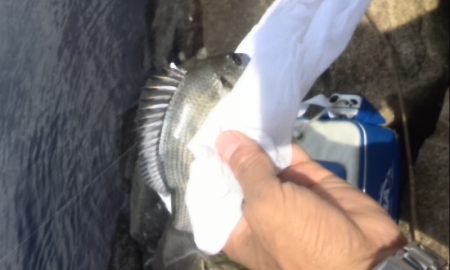 SW二度目の釣行