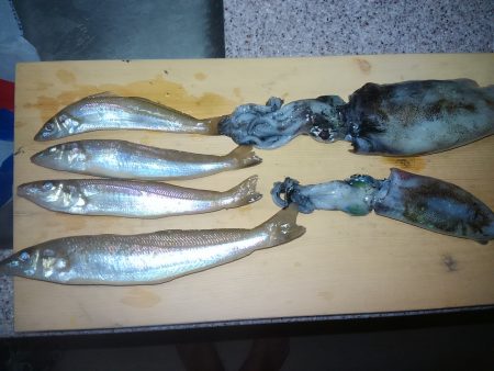 秋イカとチョイ投げキス