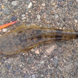 久美浜湾神崎周辺にて