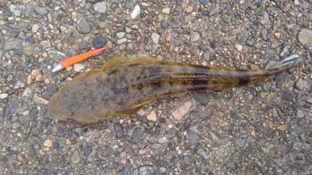 久美浜湾神崎周辺にて