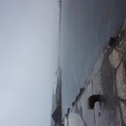 久しぶりに息子とサビキ&ちょい投げ