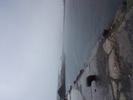 久しぶりに息子とサビキ&ちょい投げ