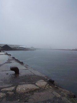 久しぶりに息子とサビキ&ちょい投げ