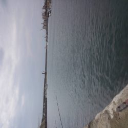 シルバーウィーク息子とサビキ&ちょい投げ