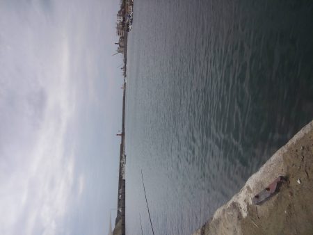 シルバーウィーク息子とサビキ&ちょい投げ