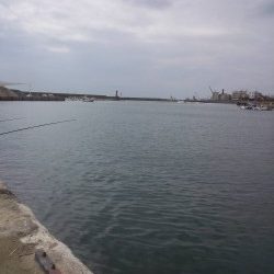 シルバーウィーク息子とサビキ&ちょい投げ