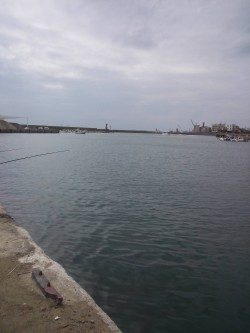 シルバーウィーク息子とサビキ&ちょい投げ