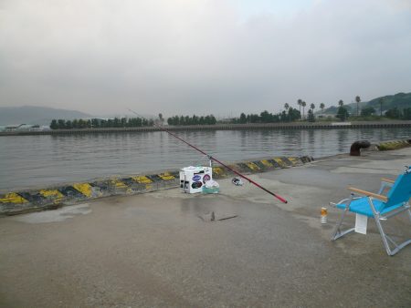 津名港でキス狙い