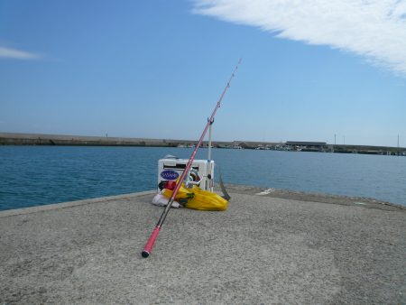 良型キスが釣れません